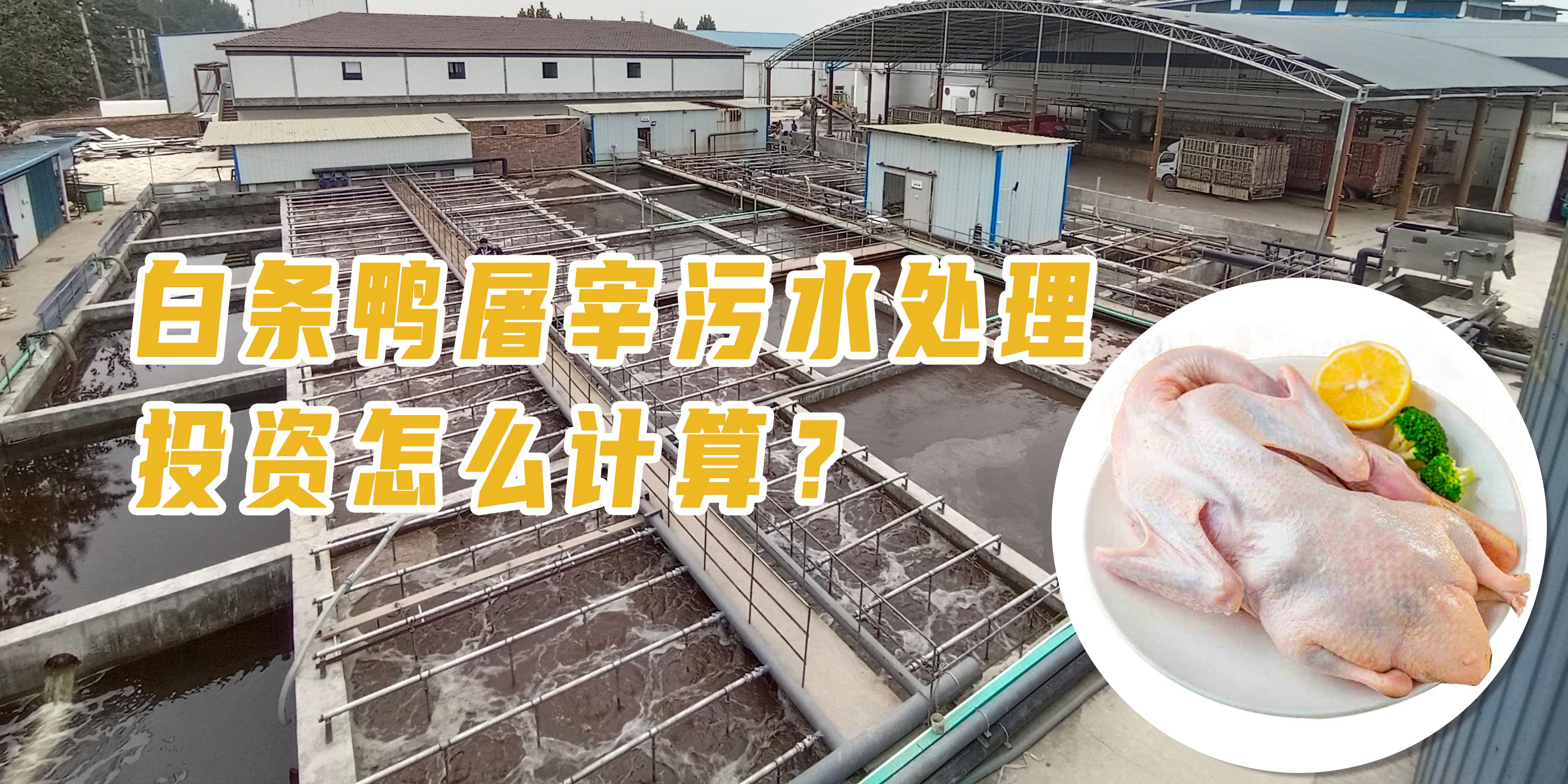 白條鴨屠宰污水處理投資怎么計算？