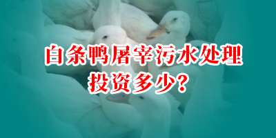 白條鴨屠宰污水處理投資多少?